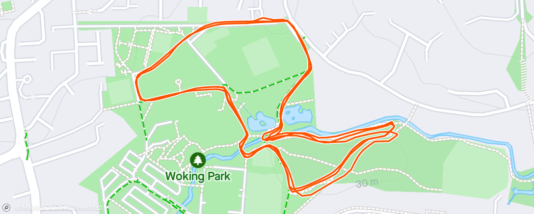 Mapa da atividade, Woking Park Run