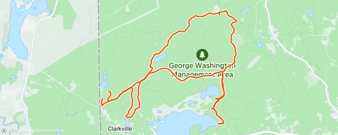 Map of the activity, Beast