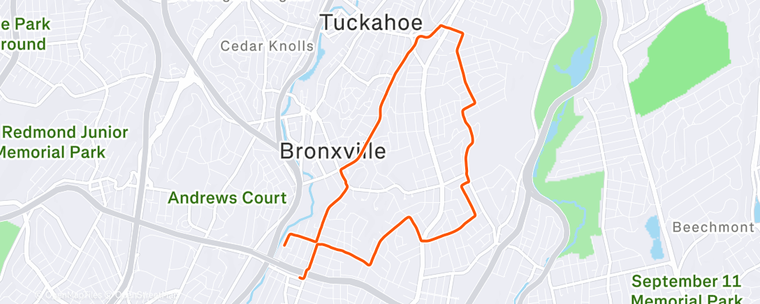 Карта физической активности (Afternoon Run)