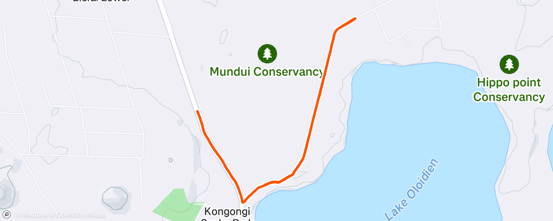 Map of the activity, Morning Run