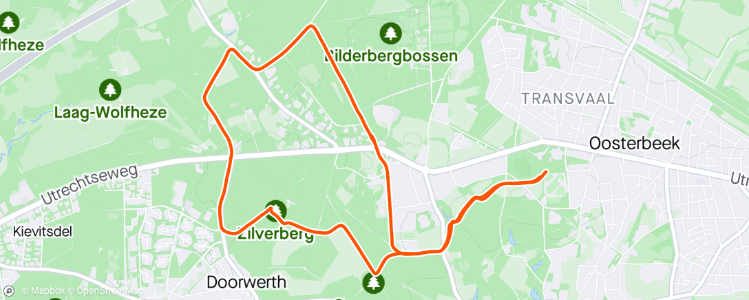 Map of the activity, Evening Run