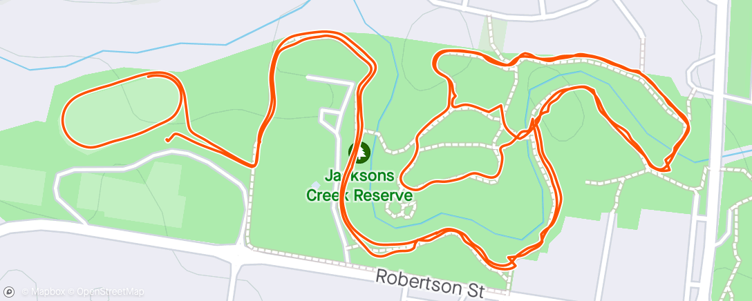 Map of the activity, Park run with 2 kids and a dog