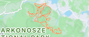 Olbrzymy