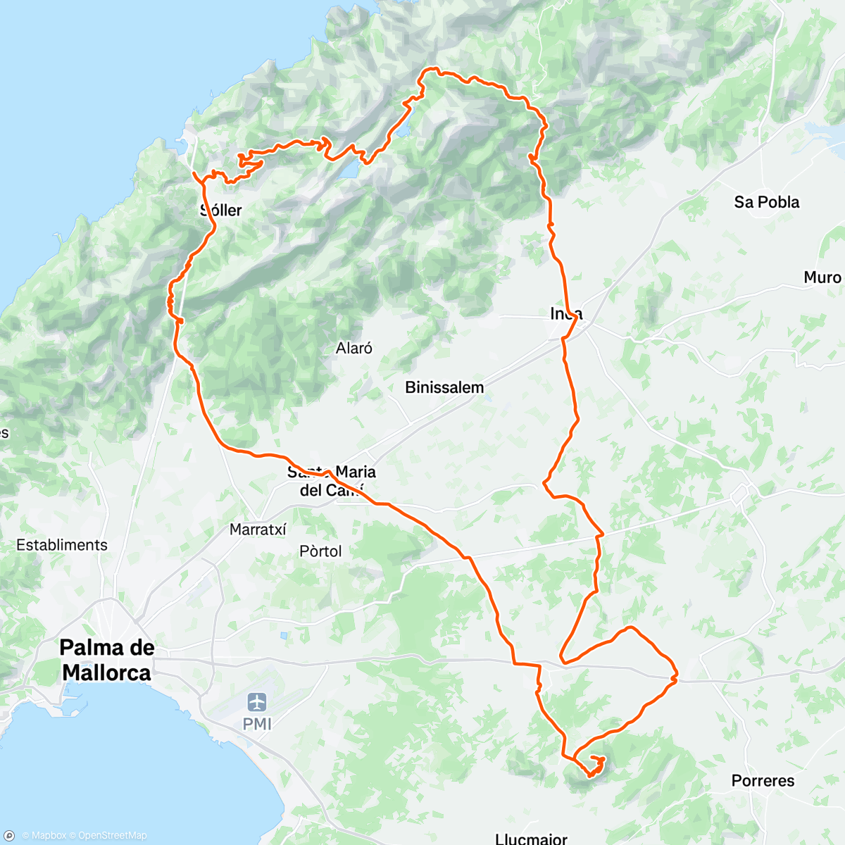 Map of the activity, A little bit of everything