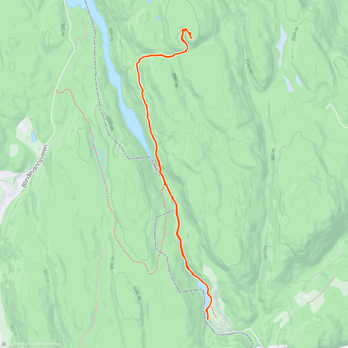 Map of the activity, Høgås, flott topp på Røysjø med Caroline og Loke