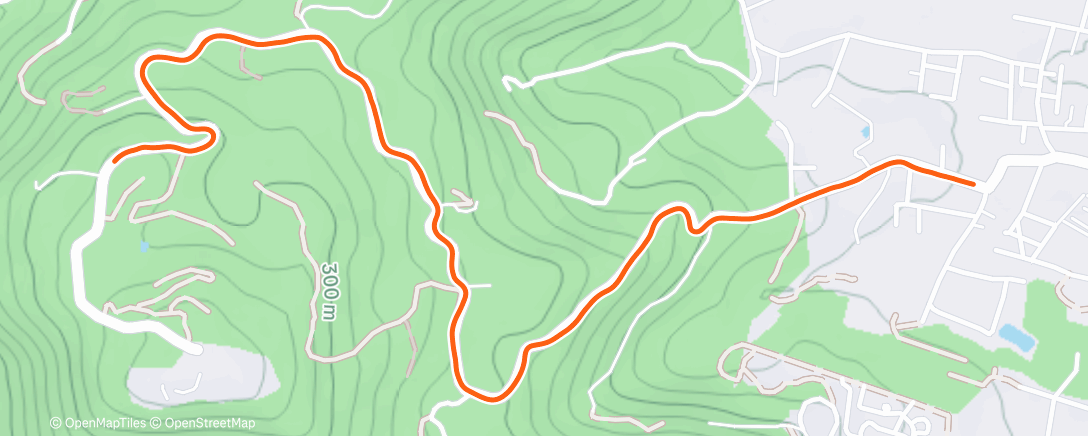 Map of the activity, Утренний забег