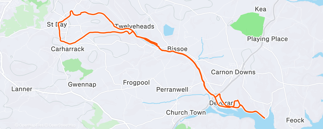 Карта физической активности (Morning Trail Run)