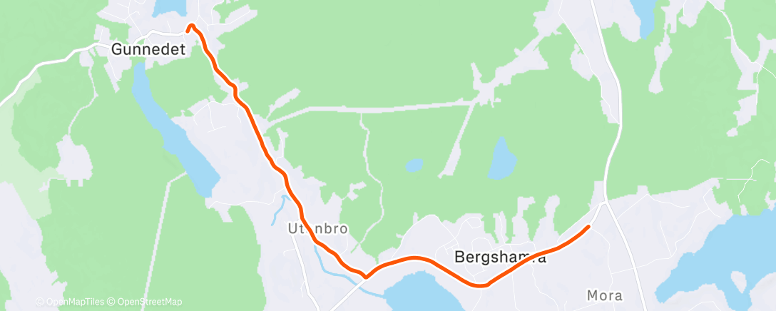 Map of the activity, Morning Walk