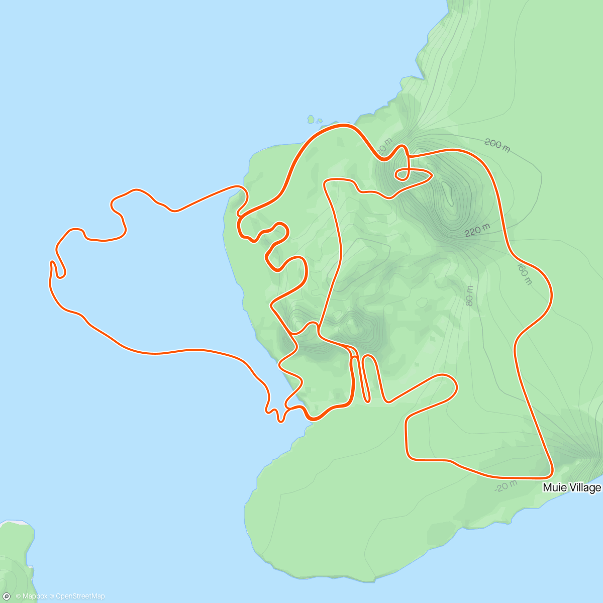 Map of the activity, Zwift - 60 min Resistencia P in Watopia