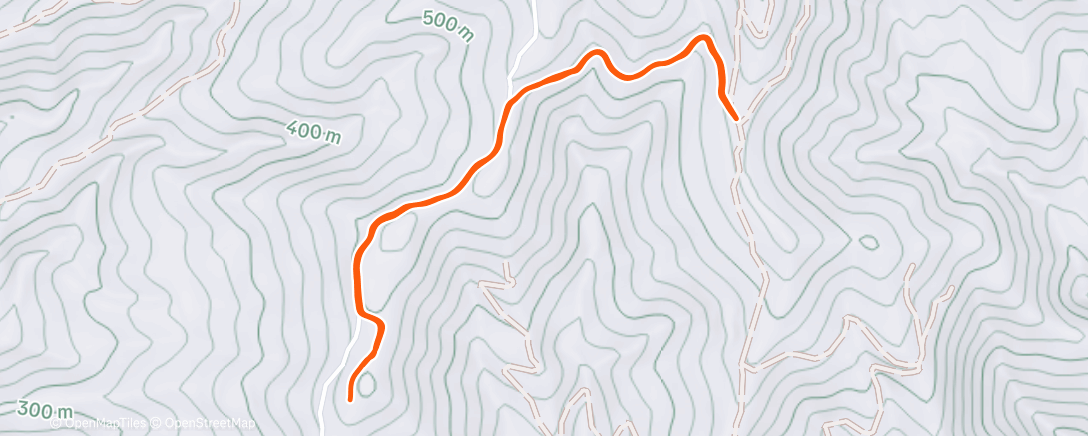 Карта физической активности (Evening 🐕 Hike)