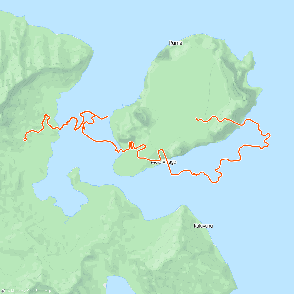 Карта физической активности (Zwift - Climb Portal: Old La Honda at 100% Elevation in Watopia)