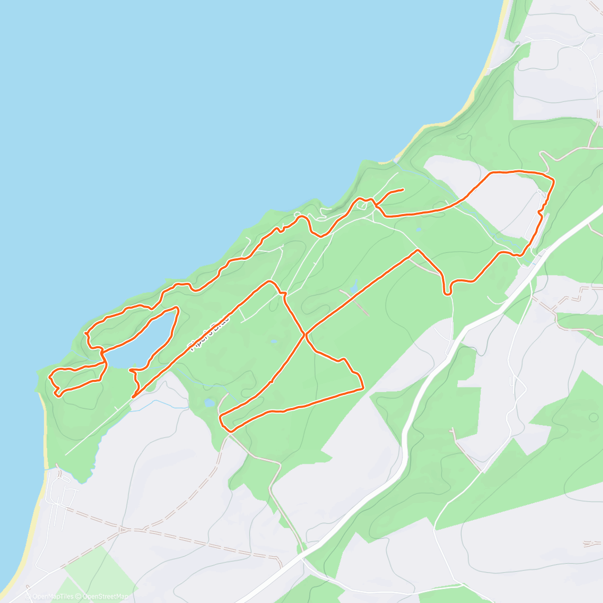 Карта физической активности (Culzean Walk🚶‍♂️😎)