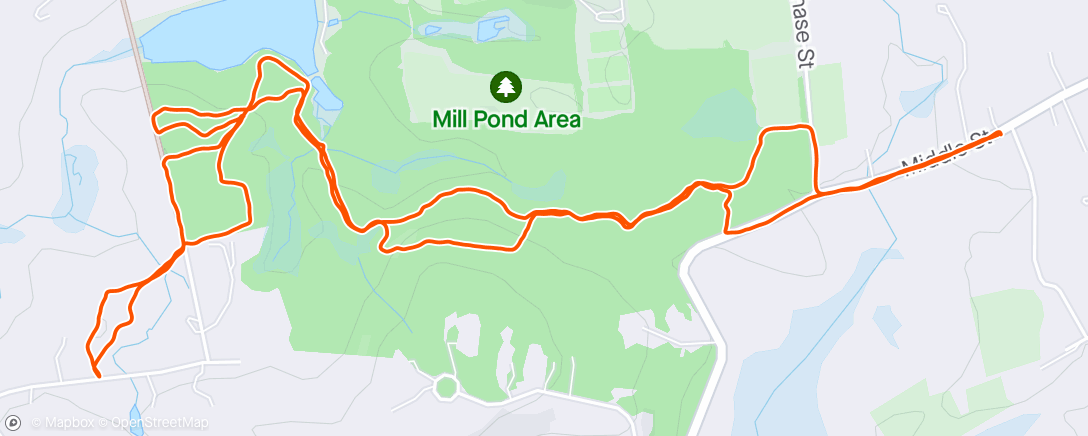 Map of the activity, Trail Run