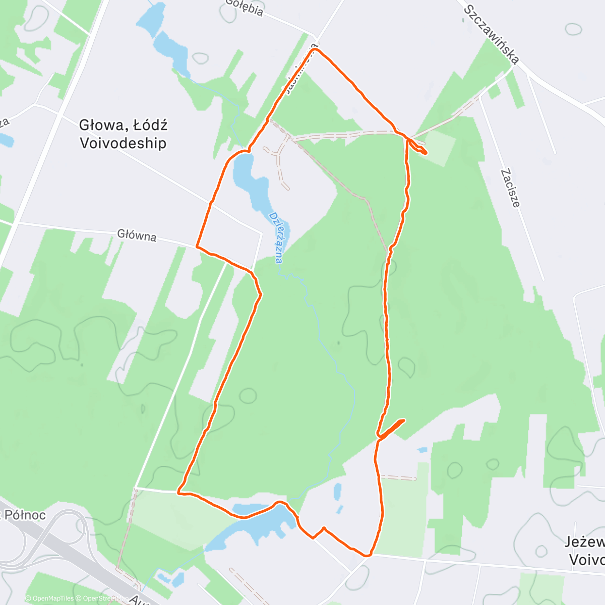 Map of the activity, Afternoon Walk