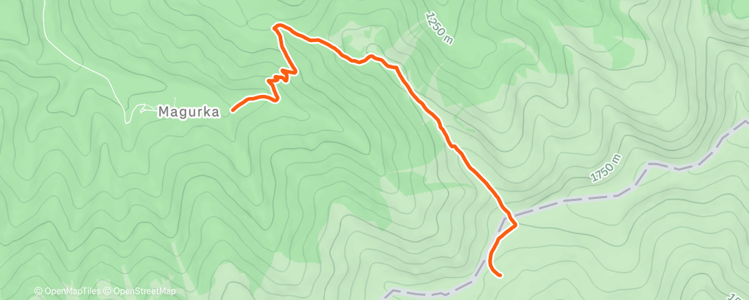 Карта физической активности (Morning Hike)