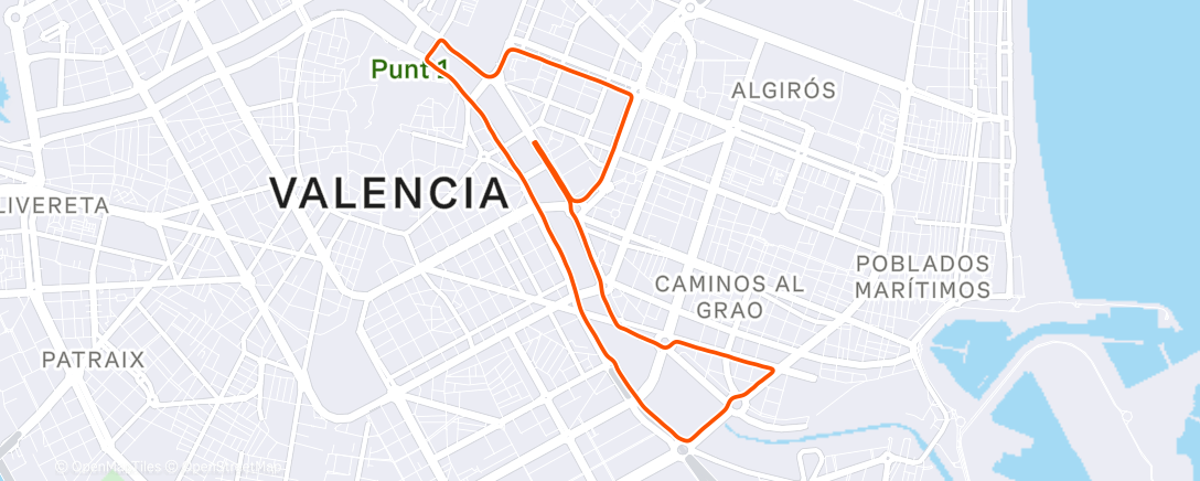 Map of the activity, 10k Valencia