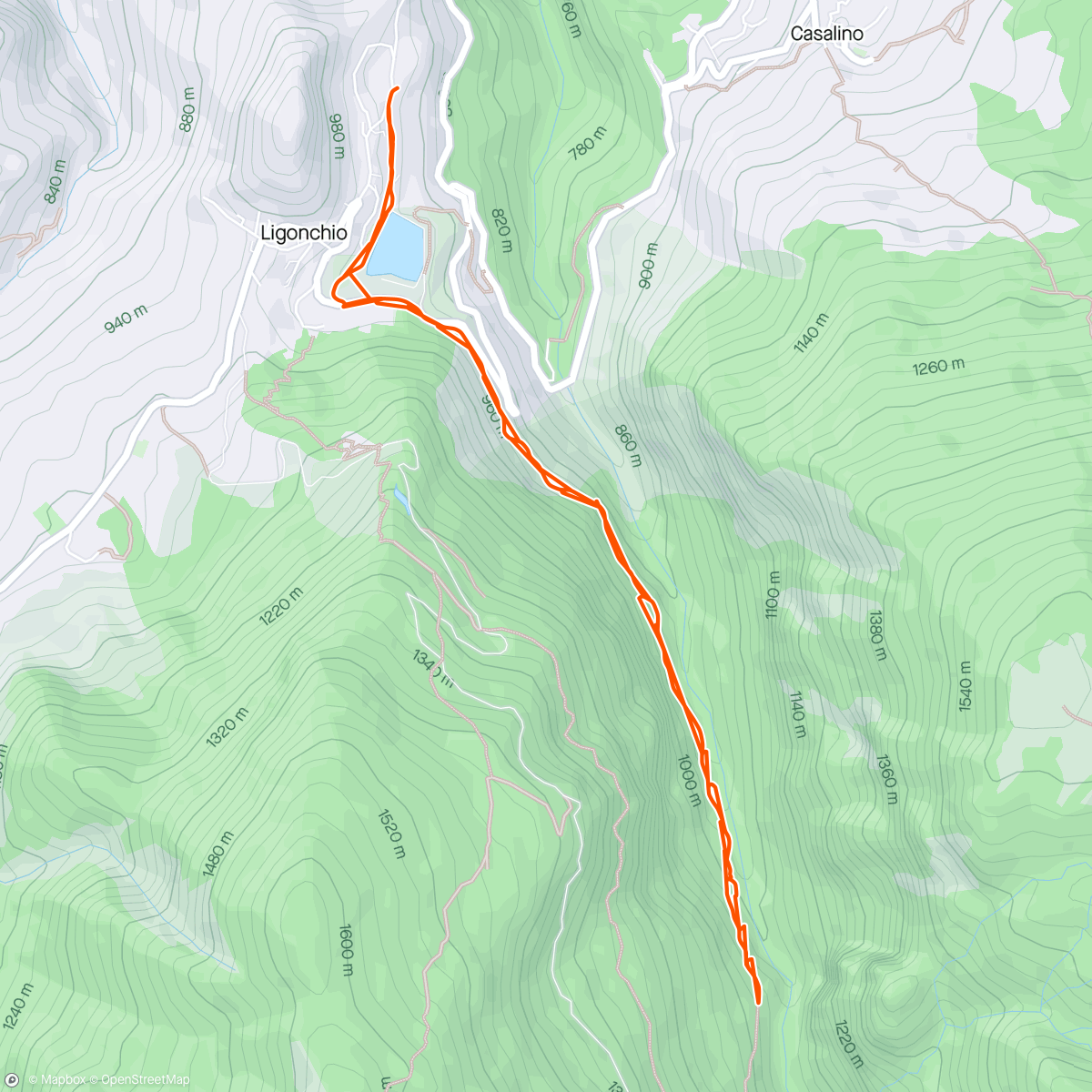 Map of the activity, out&back alla presa bassa