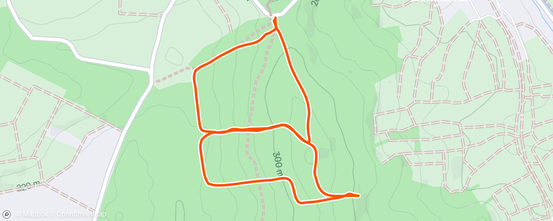 Map of the activity, Afternoon Run