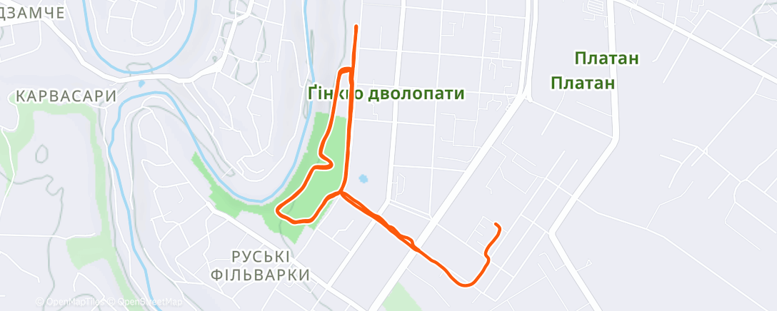 Map of the activity, Afternoon Run