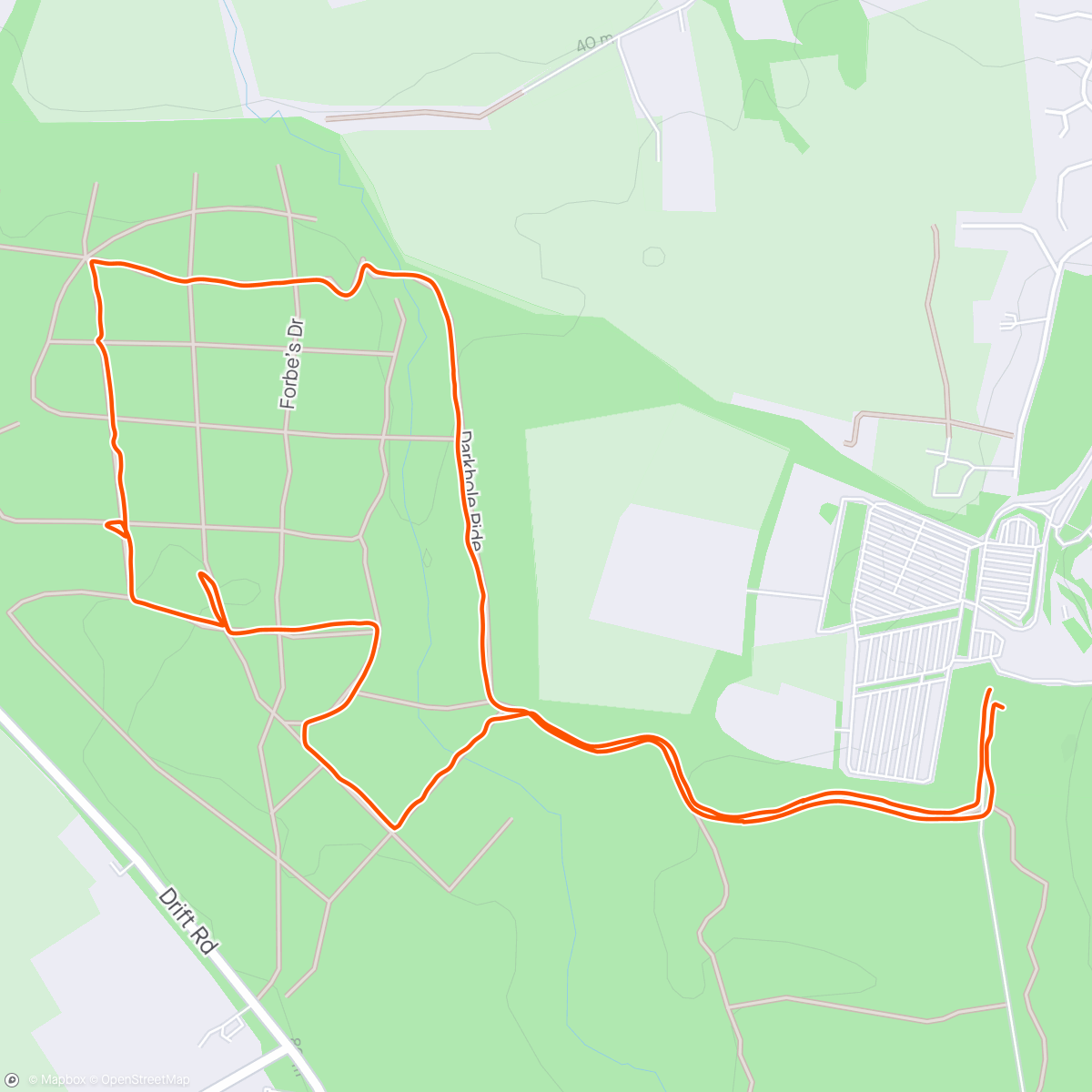 Mapa da atividade, Woodland Walk 🌳