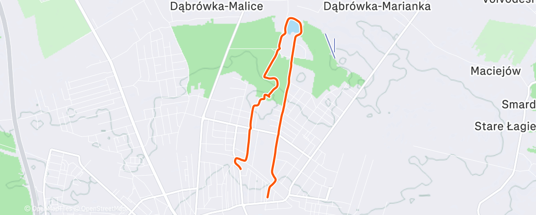 Map of the activity, Afternoon Walk