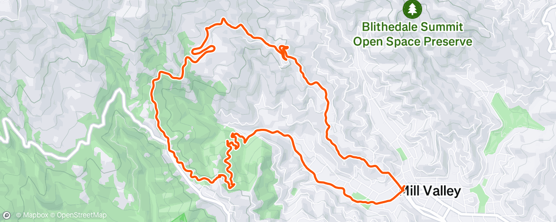 Map of the activity, Following Bella 🐕