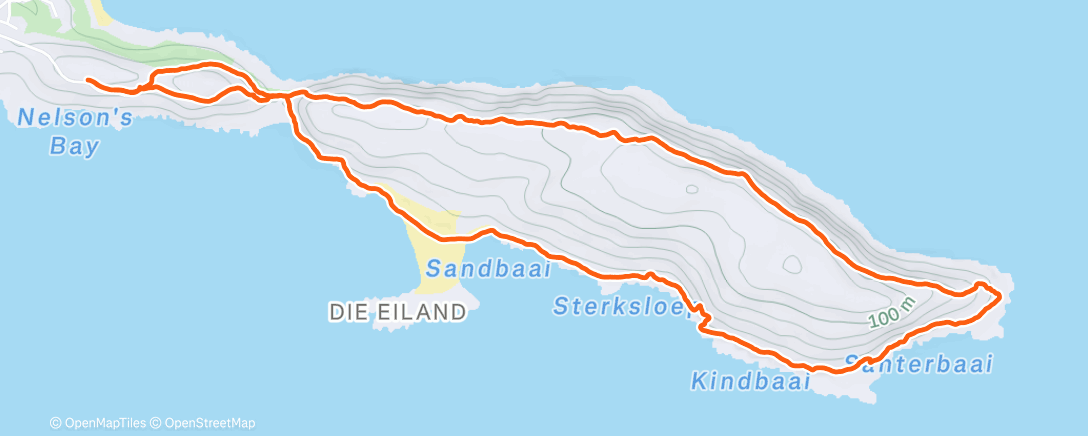 Карта физической активности (Morning Walk)