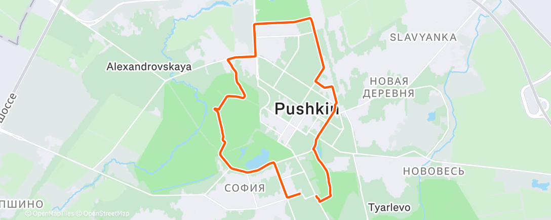 Map of the activity, 90 минут на пульсе 130-140