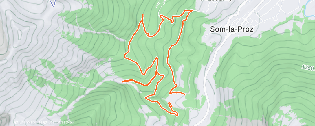 Map of the activity, Course à pied dans l’après midi