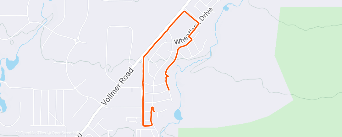 Карта физической активности (DoggoJoggo)