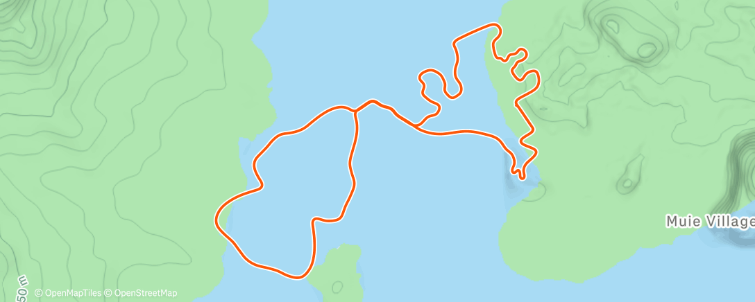 Map of the activity, Zwift - Jarvis Seaside Sprint in Watopia