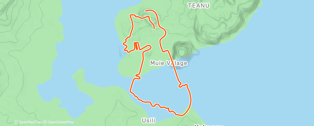 Карта физической активности (Zwift - Tair Dringfa Fechan in Watopia)