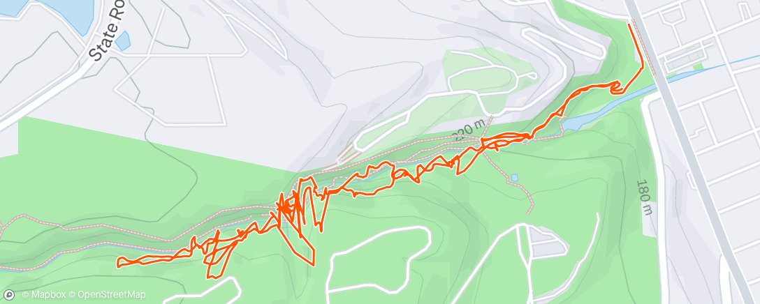 Map of the activity, Watkins Glen State Park w/ Hope and Dad!