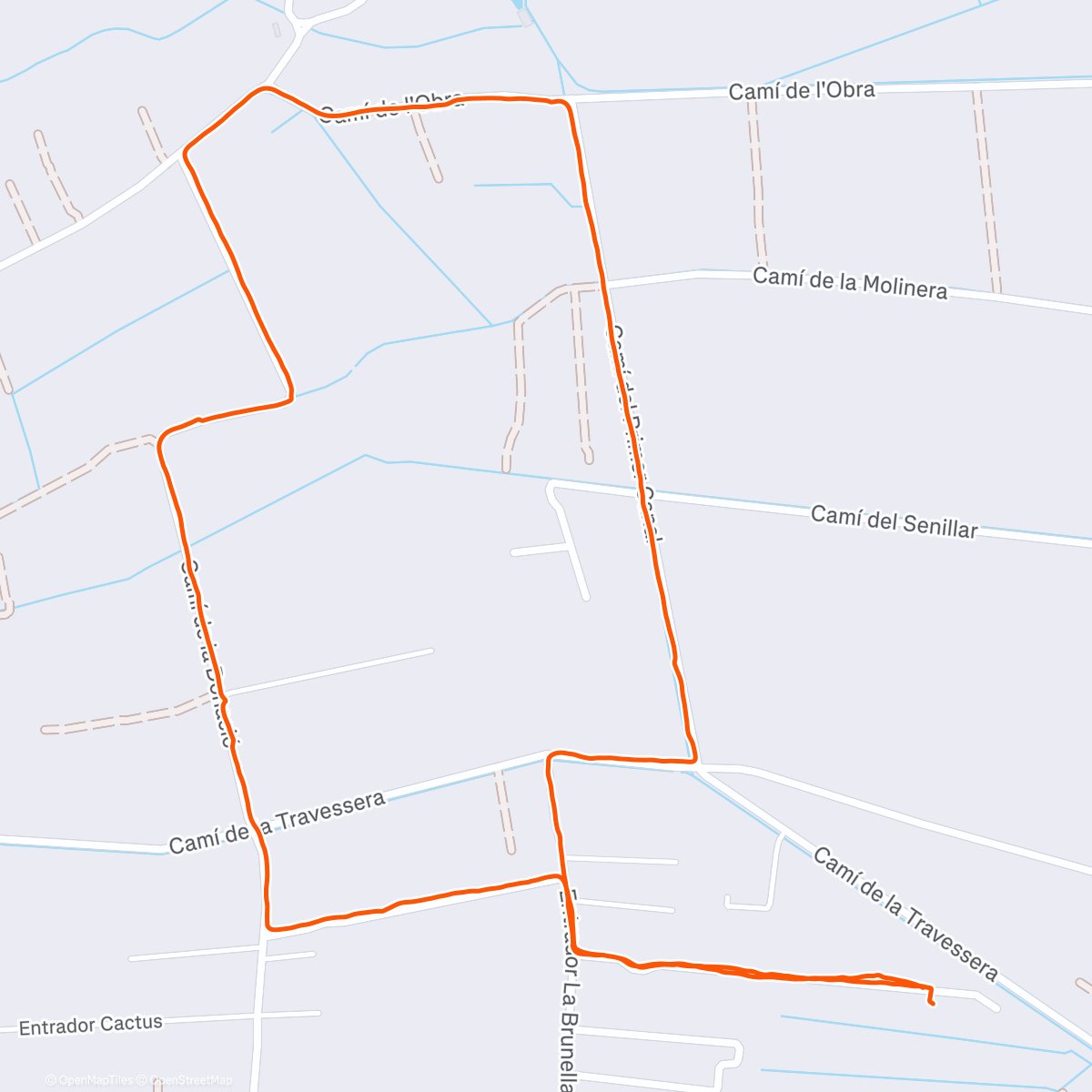 Map of the activity, 🐕🫃🏽