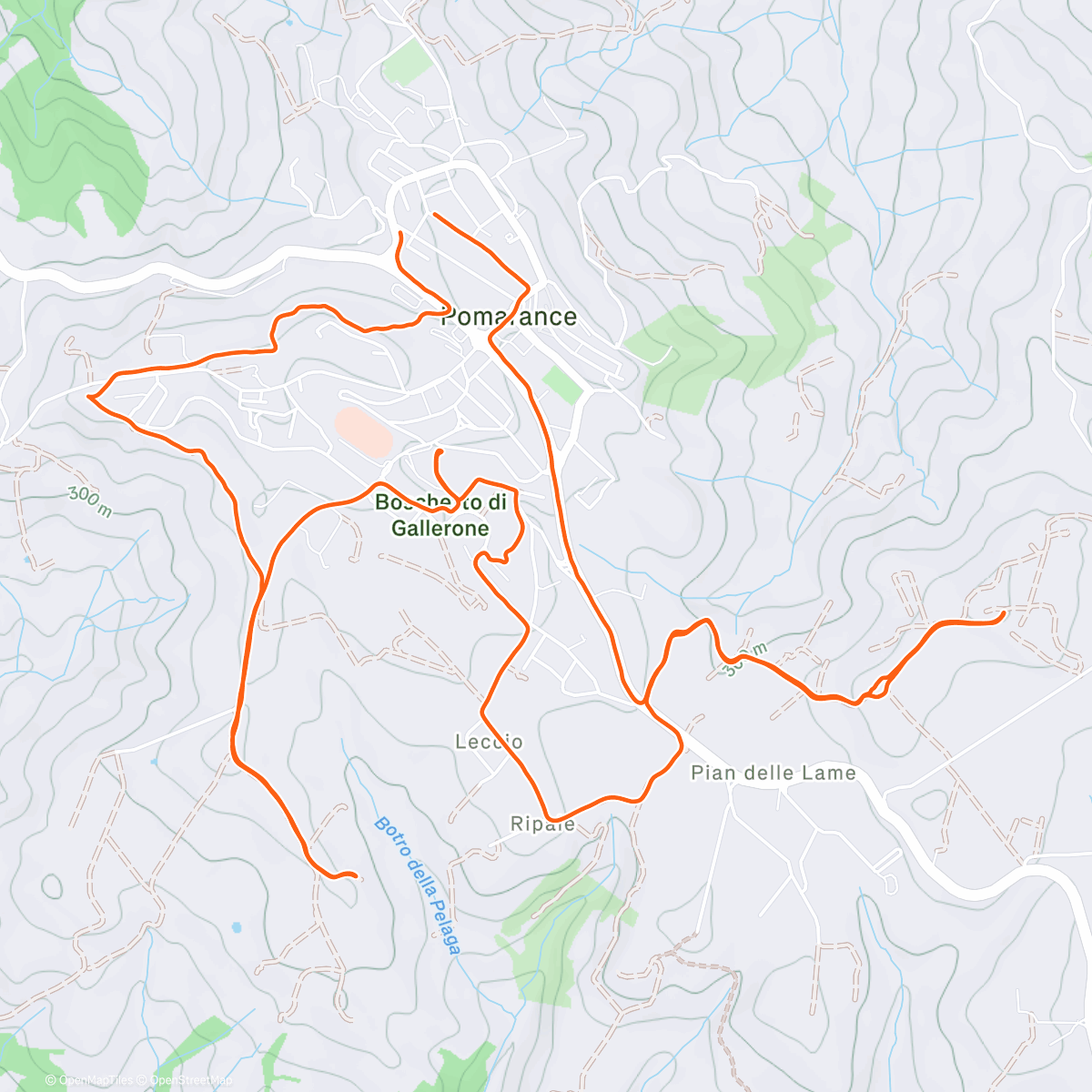 Карта физической активности (Afternoon Trail Run)