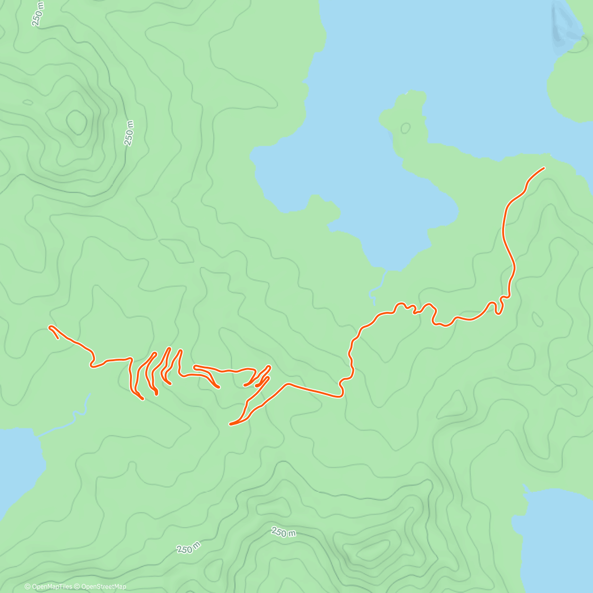 Map of the activity, 5x 1000m und 5 x 400m