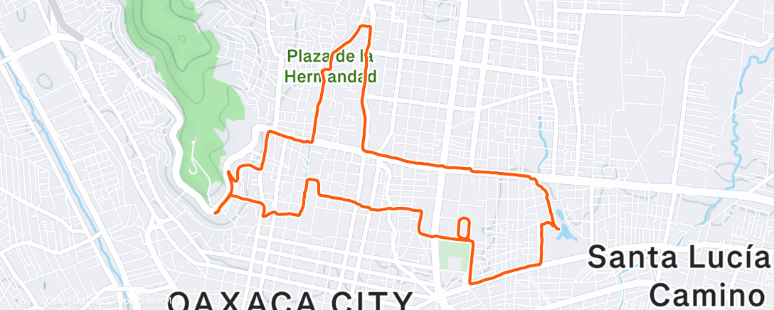 Карта физической активности (Carrera por la mañana)
