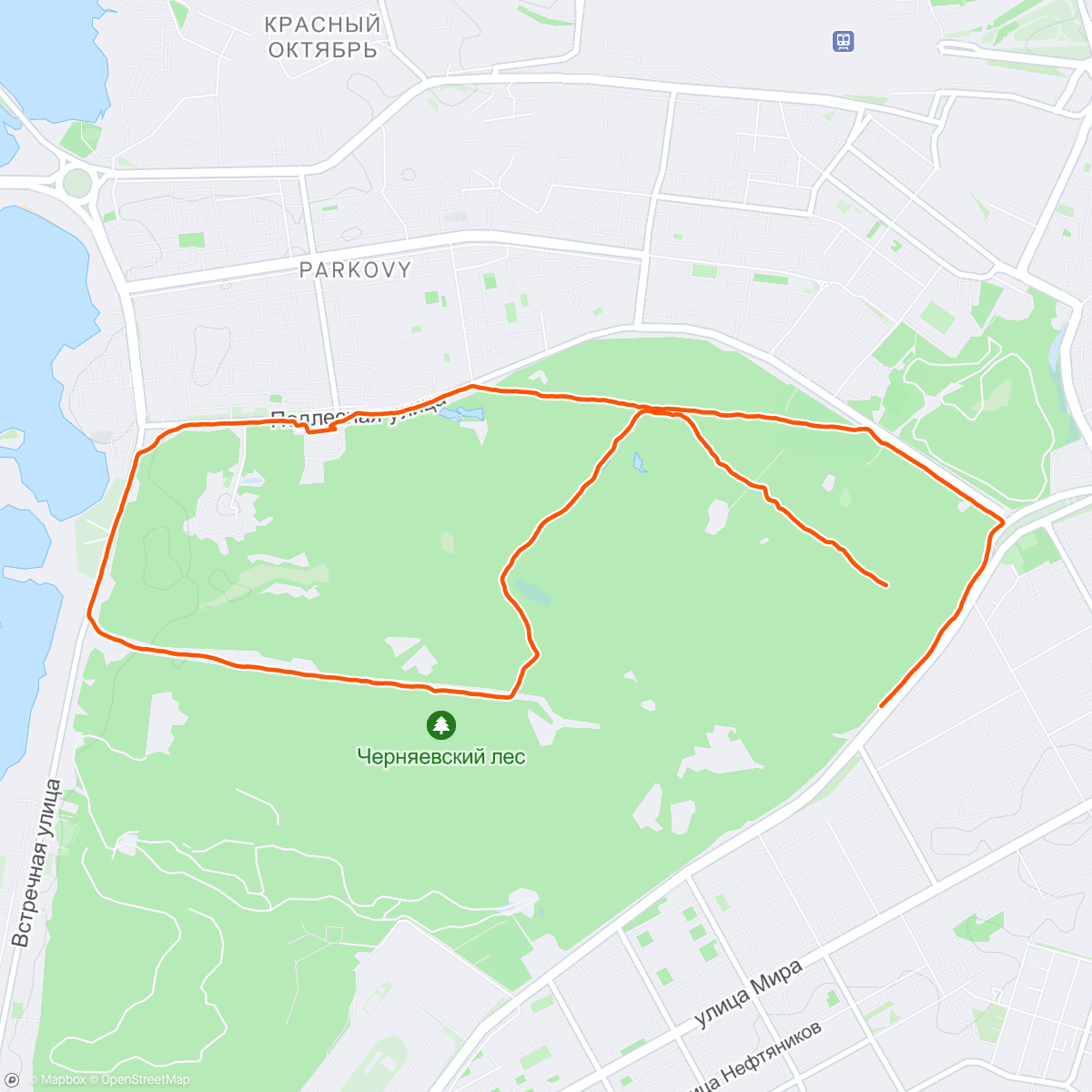 Карта физической активности (Традиционные 9:05 км в День Победы с друзьями 🔥🎇)