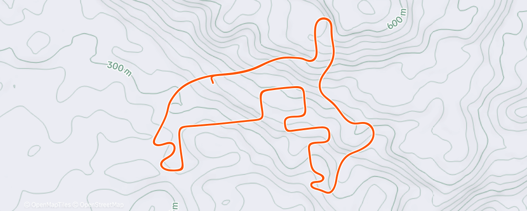 Карта физической активности (TrainingPeaks Virtual - Event: eCKD New Year Series S6/10)