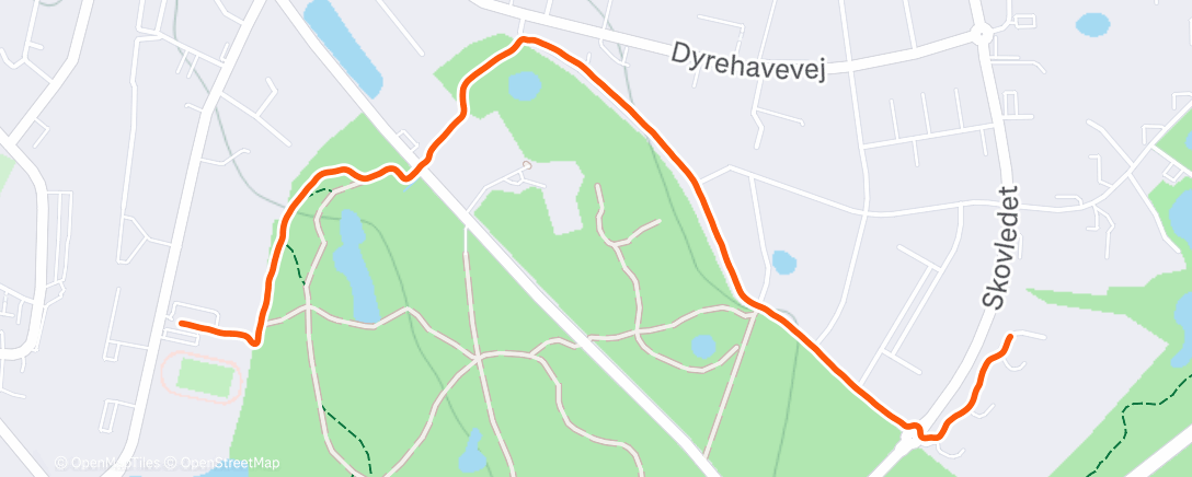 Карта физической активности (Afternoon Hike)