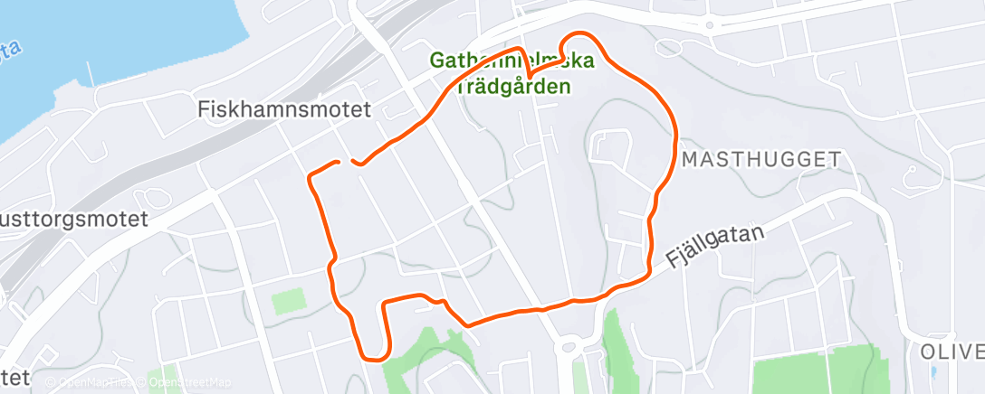 Карта физической активности (Testlöpning efter knäskada)