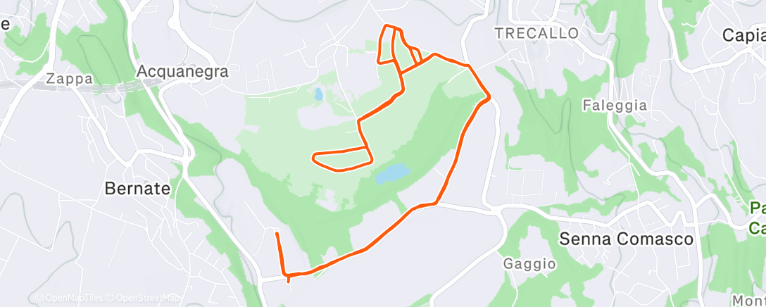 Карта физической активности (Corsa pomeridiana)