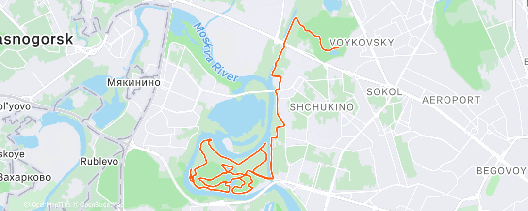 Map of the activity, Sereb