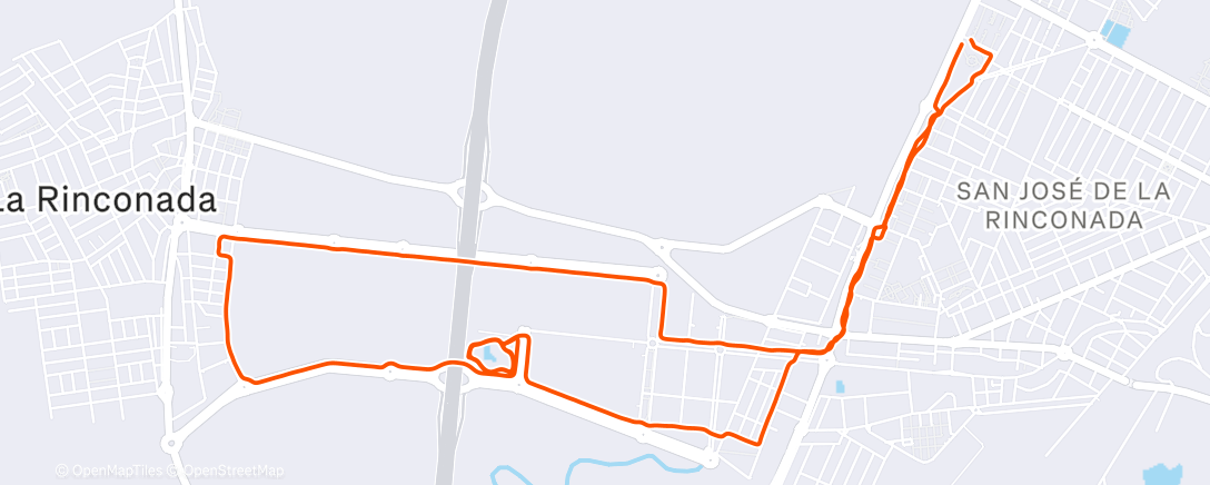 Карта физической активности (Caminata a la hora del almuerzo)