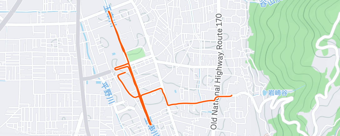 Map of the activity, Evening Run