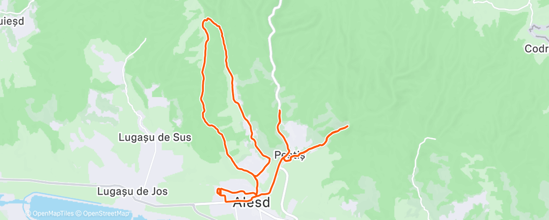 Карта физической активности (Morning Run)