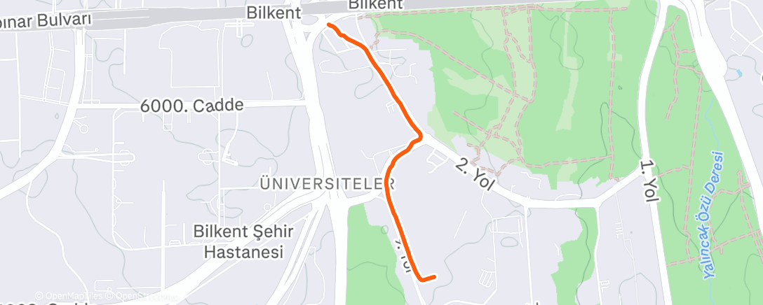 Карта физической активности (Munch Walk)