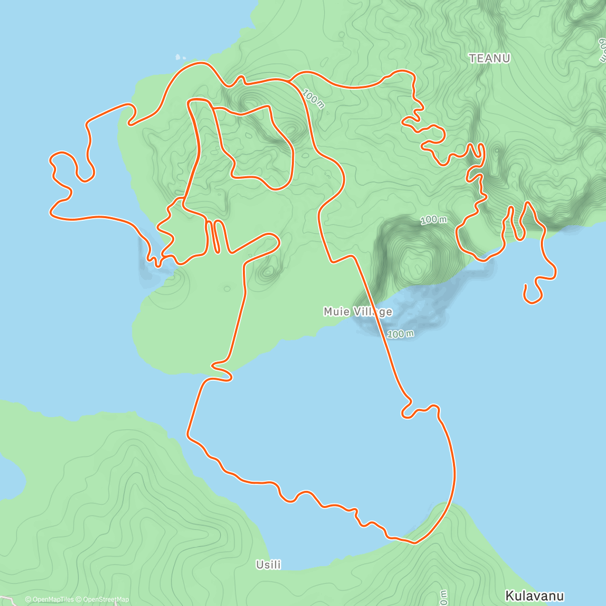 Карта физической активности (Zwift - Tair Dringfa Fechan in Watopia)
