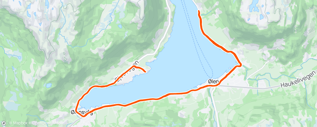 Mapa da atividade, Long Run