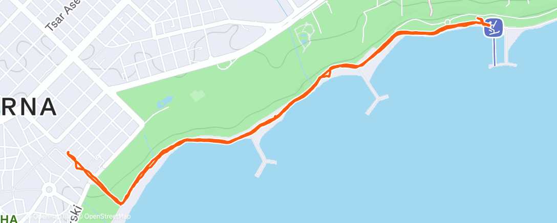 Карта физической активности (Morning Walk)